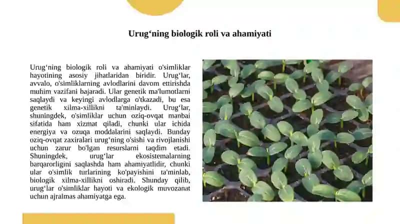Oʻsimlik urugʻi va uning tuzilishi 3