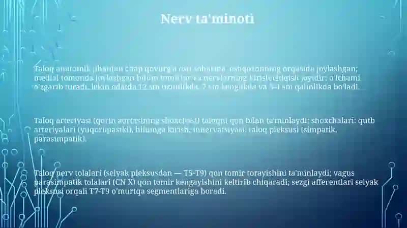Tish anatomiyasi 3