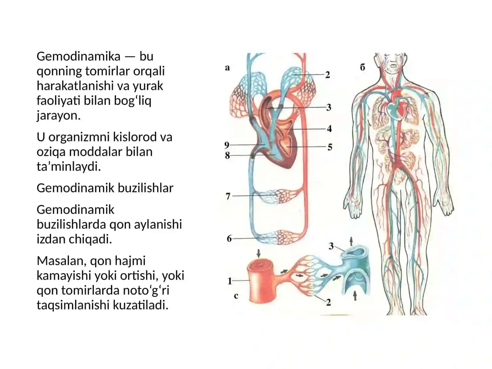 Gemodinamik buzilishlar 3