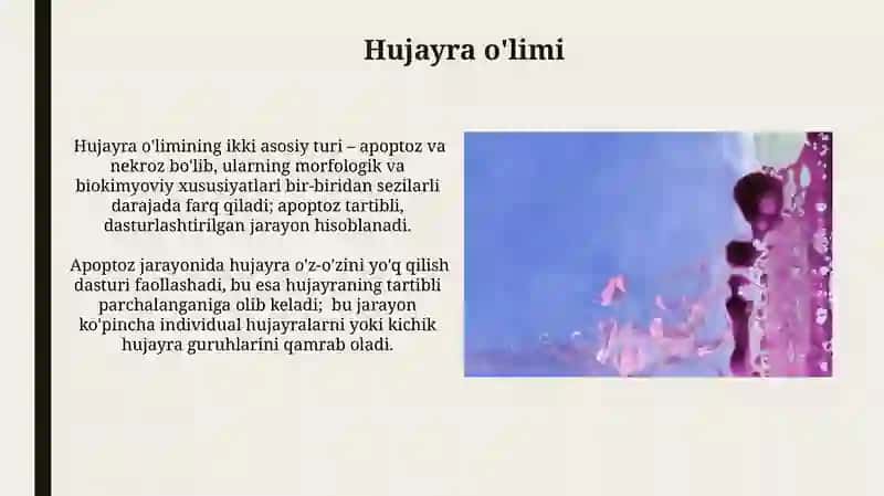 Sitologiya hujayra haqidagi fan 3