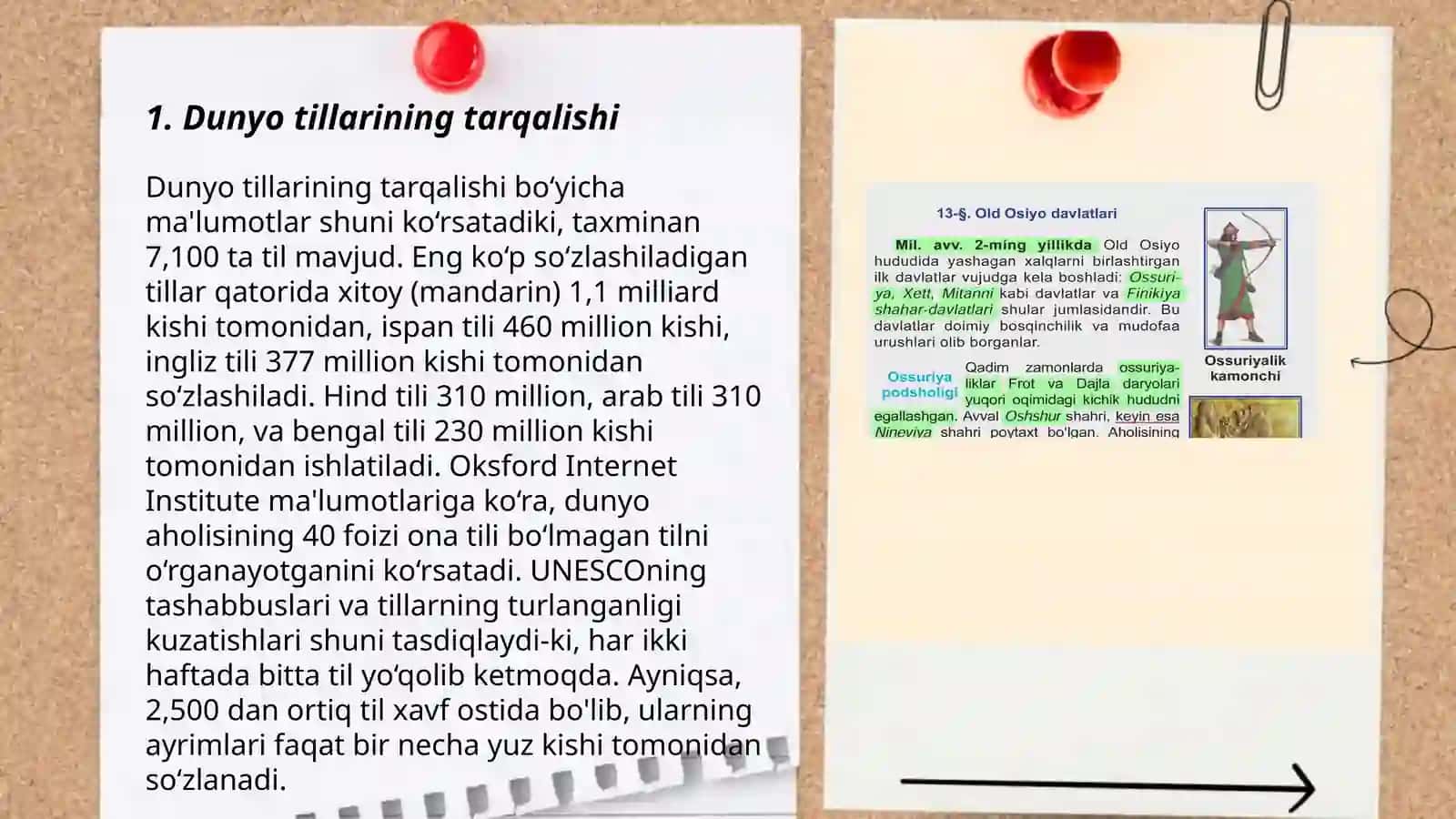 Dunyo xalqlari klasifikatsiyasi 3