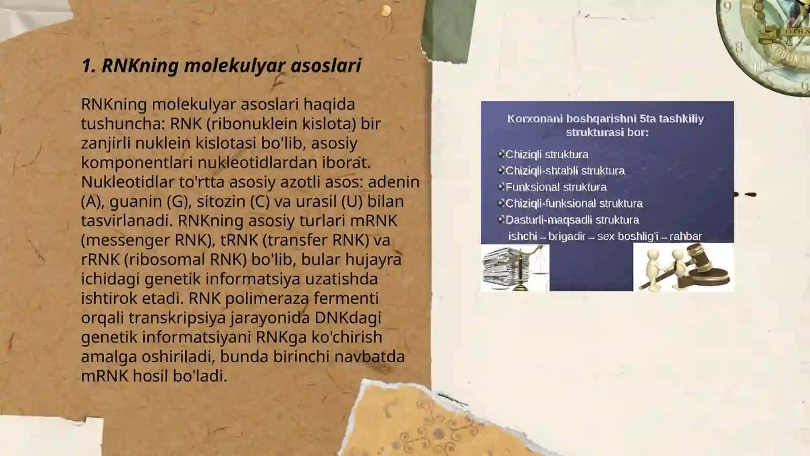 RNKning makromolekulyar strukturasi 3