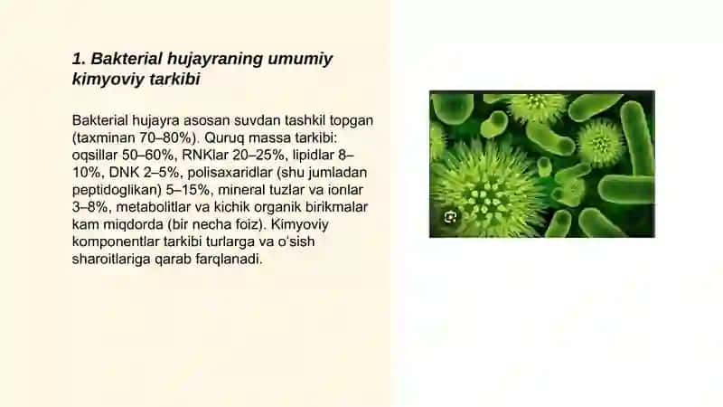 Bakterial hujayraning kimyoviy tarkibi 3