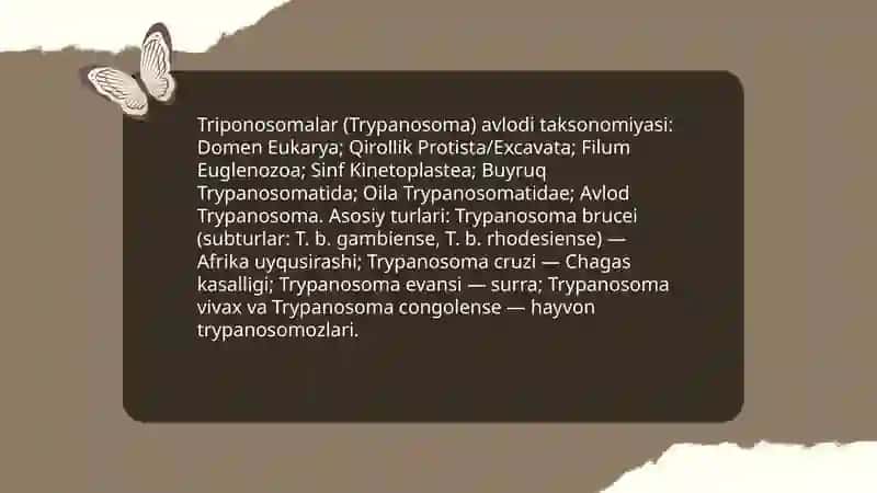 Triponosomalar avlodi 3