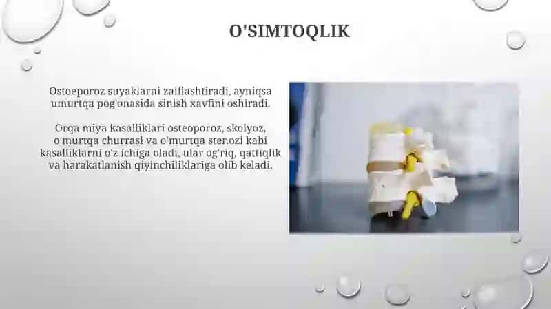 Umurtqa pogʻonasi,boʻlimlari va kasalliklari 3