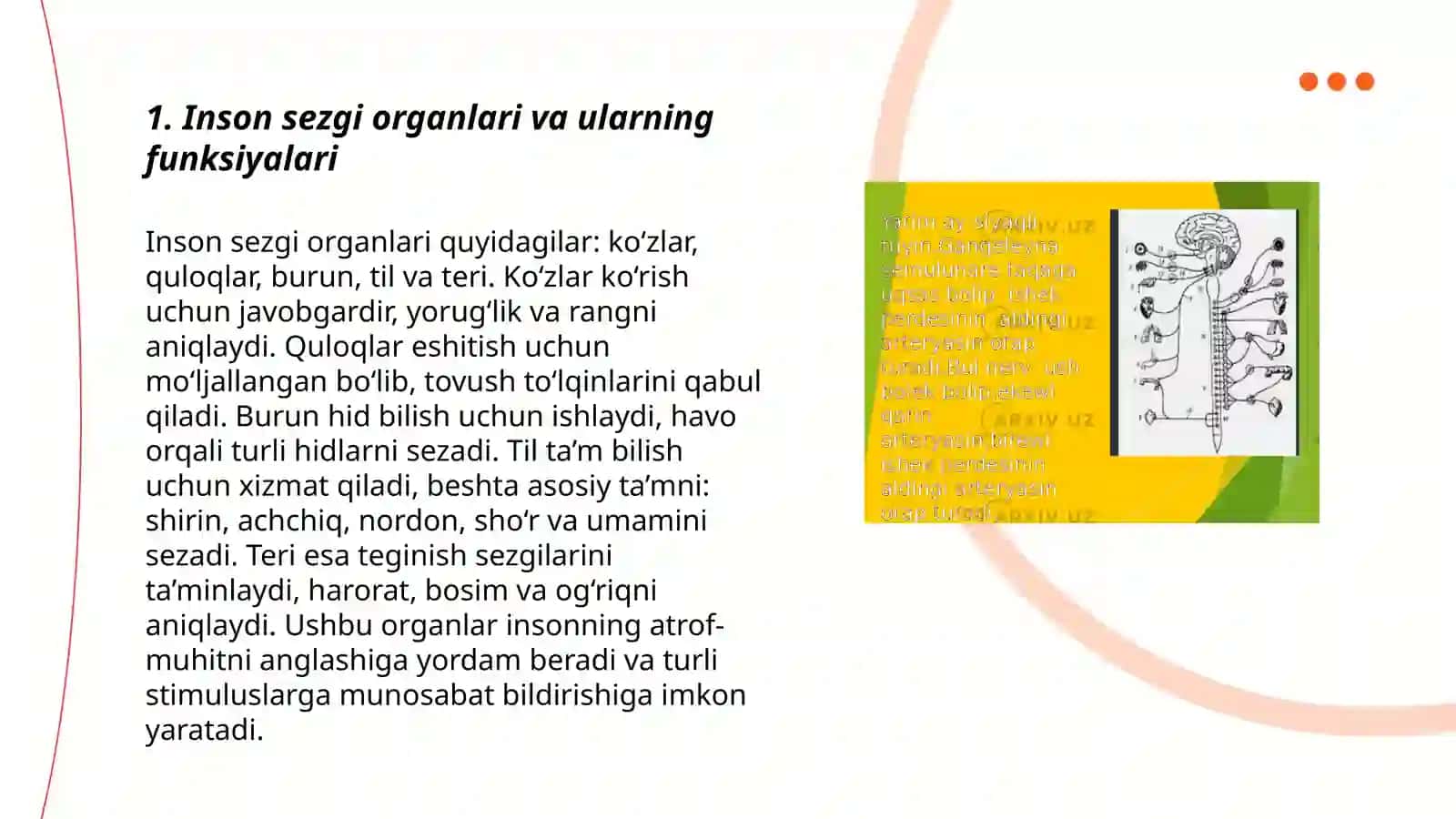 Inson sezgi organlari 3