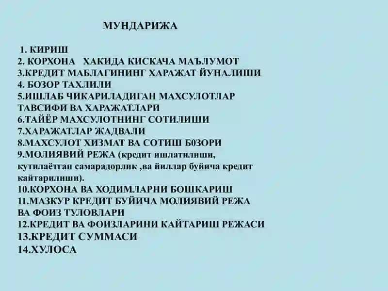 MINI-MEHMONXONA UCHUN BIZNES-REJA 3