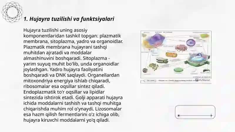 Organizmlarning hujayraviy tuzilishi 3