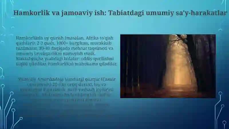 Tabiat Sinfxonasida: Kattalar Mehnatini Kuzatish 3