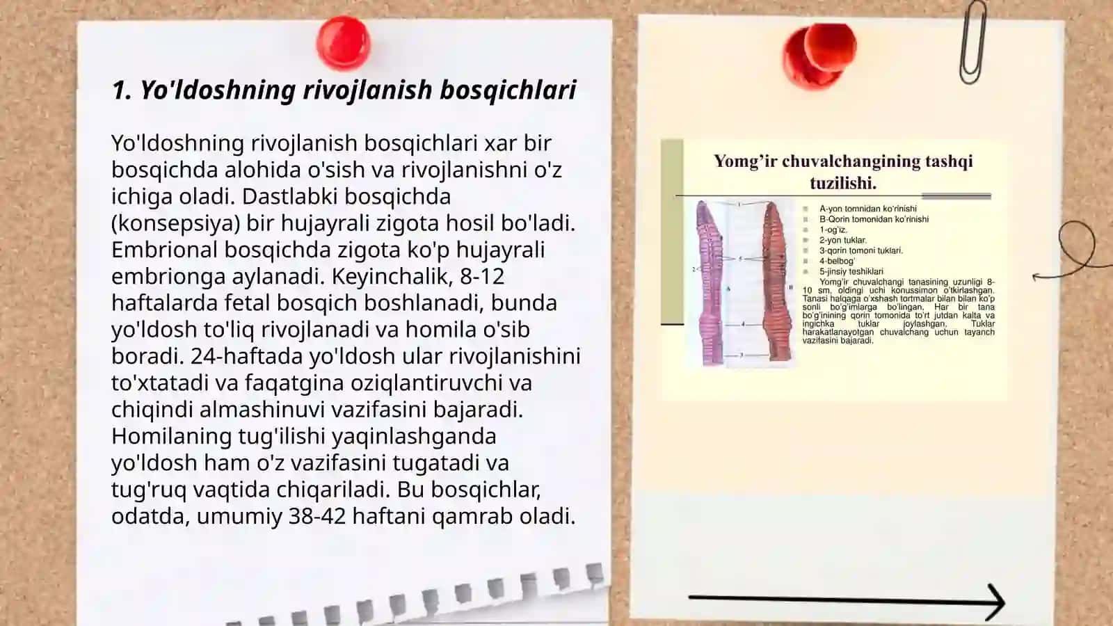 Yo'ldoshning rivojlanishi 3