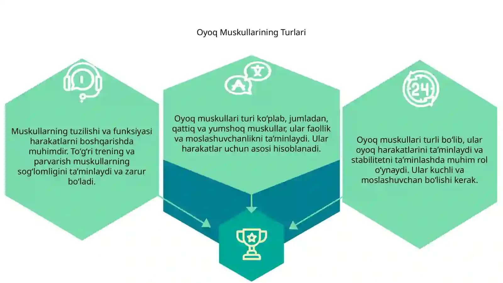 Oyoq Muskullari Tuzlishi va Funksiyasi 3