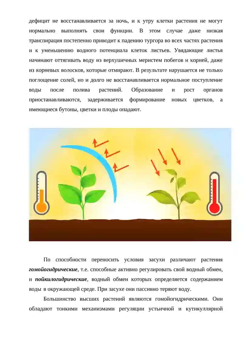Устойчивость растений к засухе 3