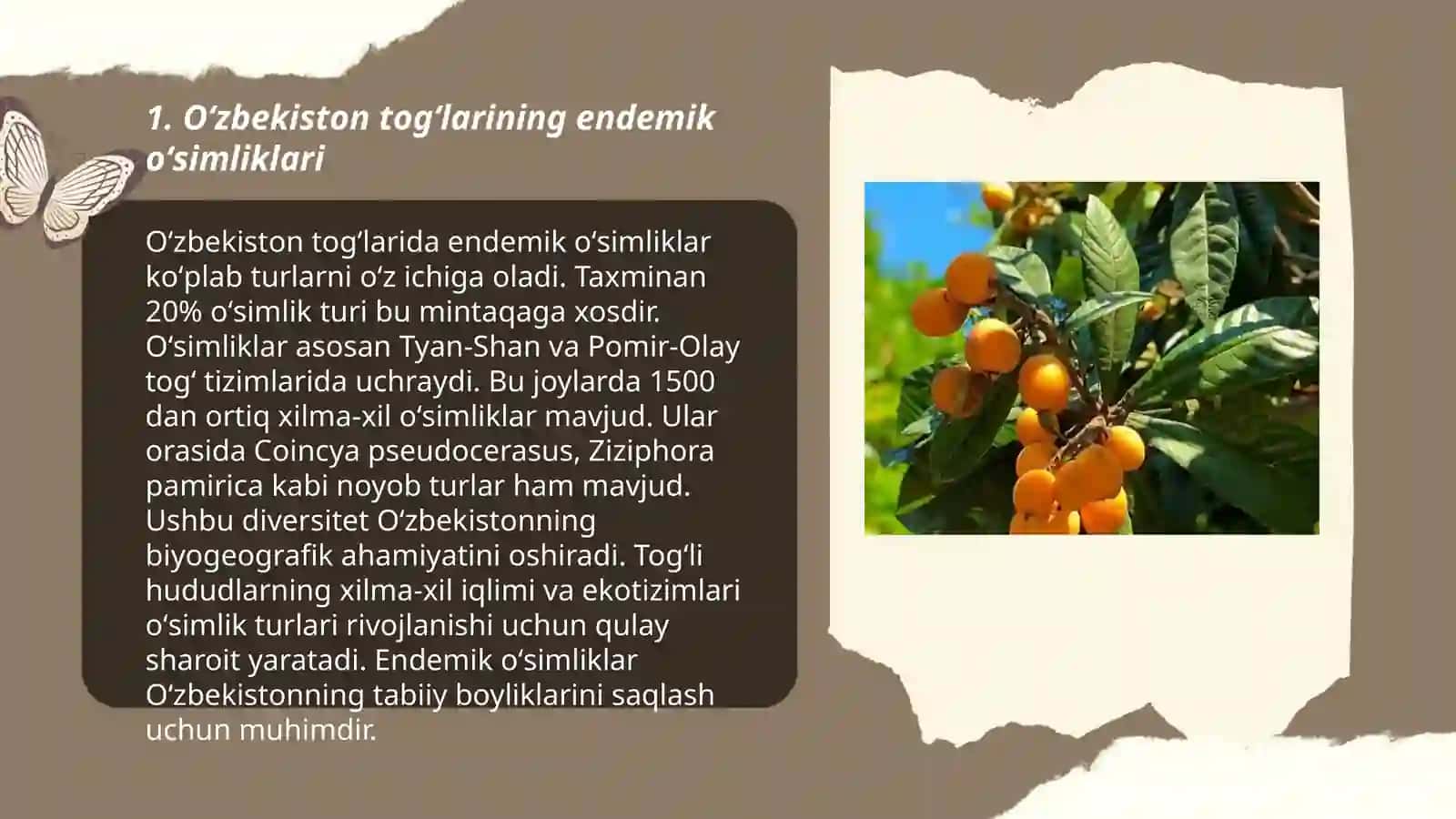 Oʻzbekiston florasi endemlari 3