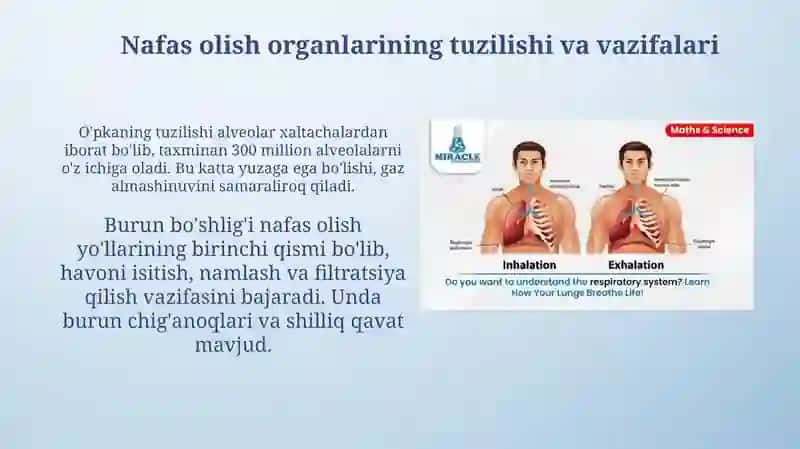 Nafas organlari 3