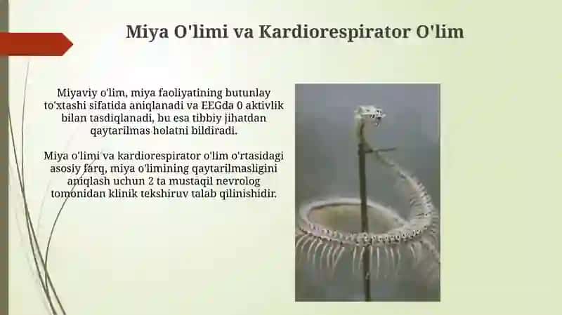 Klinik biologik o’lim 3