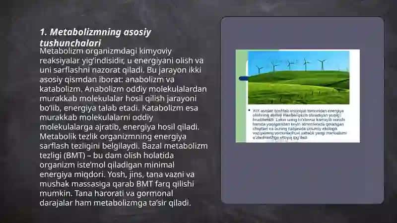 Metobolizim va energiya õrtasidagi õzaro boğliqlik 3