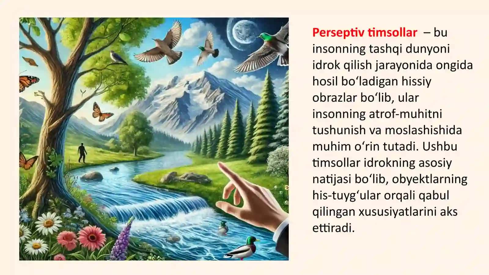 Perseptiv timsollar tashkil topishi 3