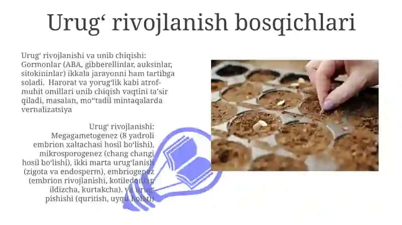 Urugʻ rivojlanishi 3