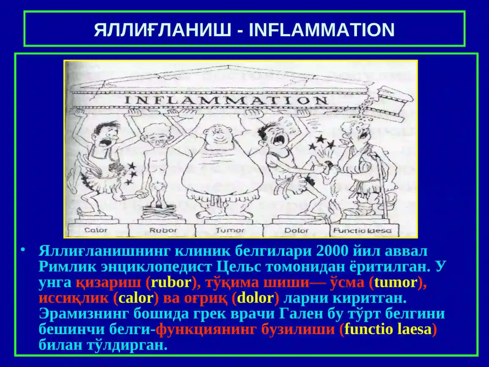 Яллиғланиш 3