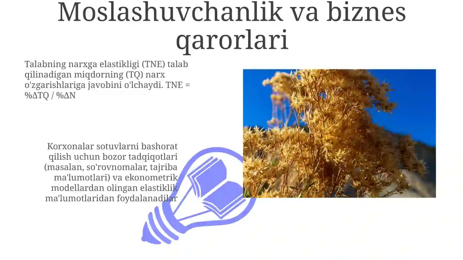 Narx Elastikligi Ta'rifi 3