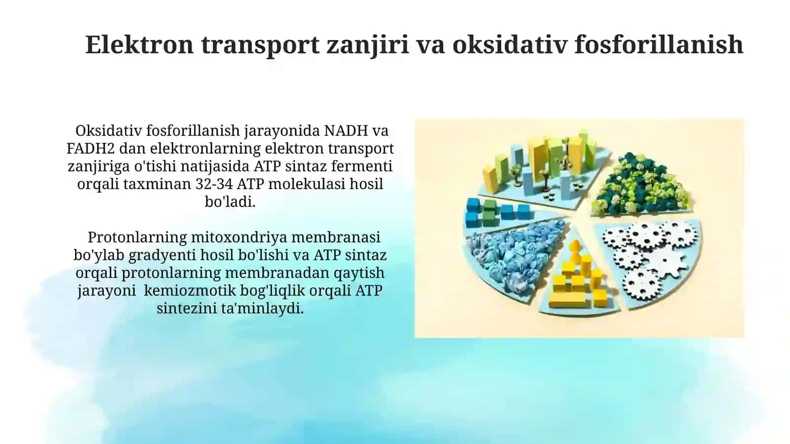 Metabolik Jarayonlarda Energiya almashinuvi 3