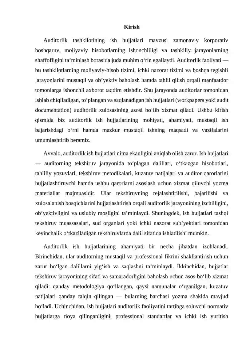 Auditorlik tashkilotining ish hujjatlari 3