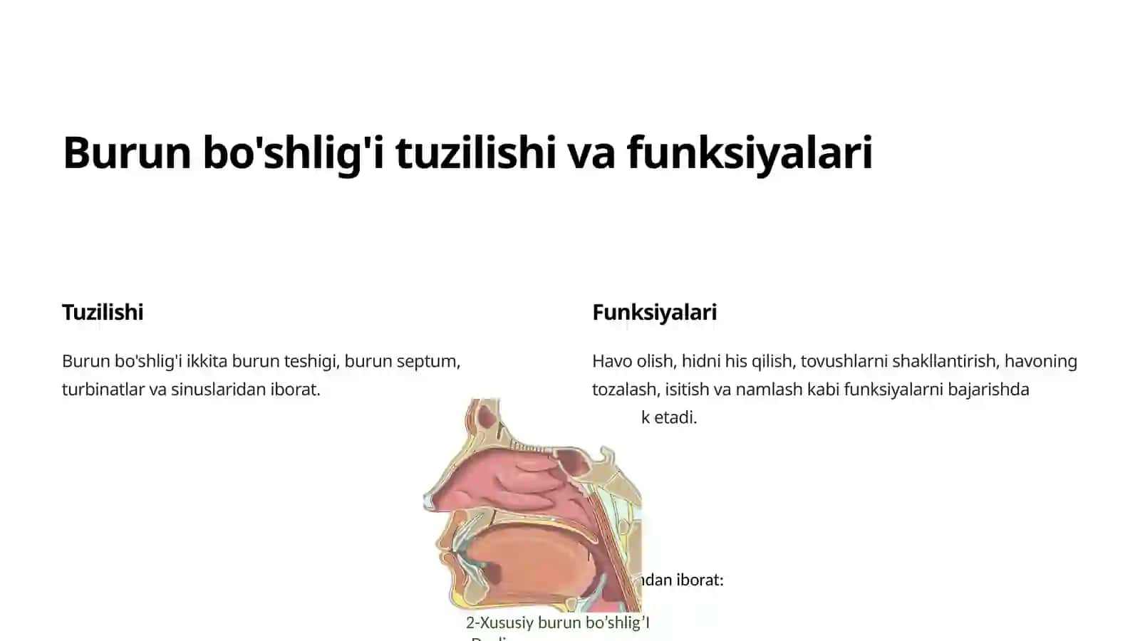 BURUN BO'SHLIG'I GISTOLOGIYASI 3