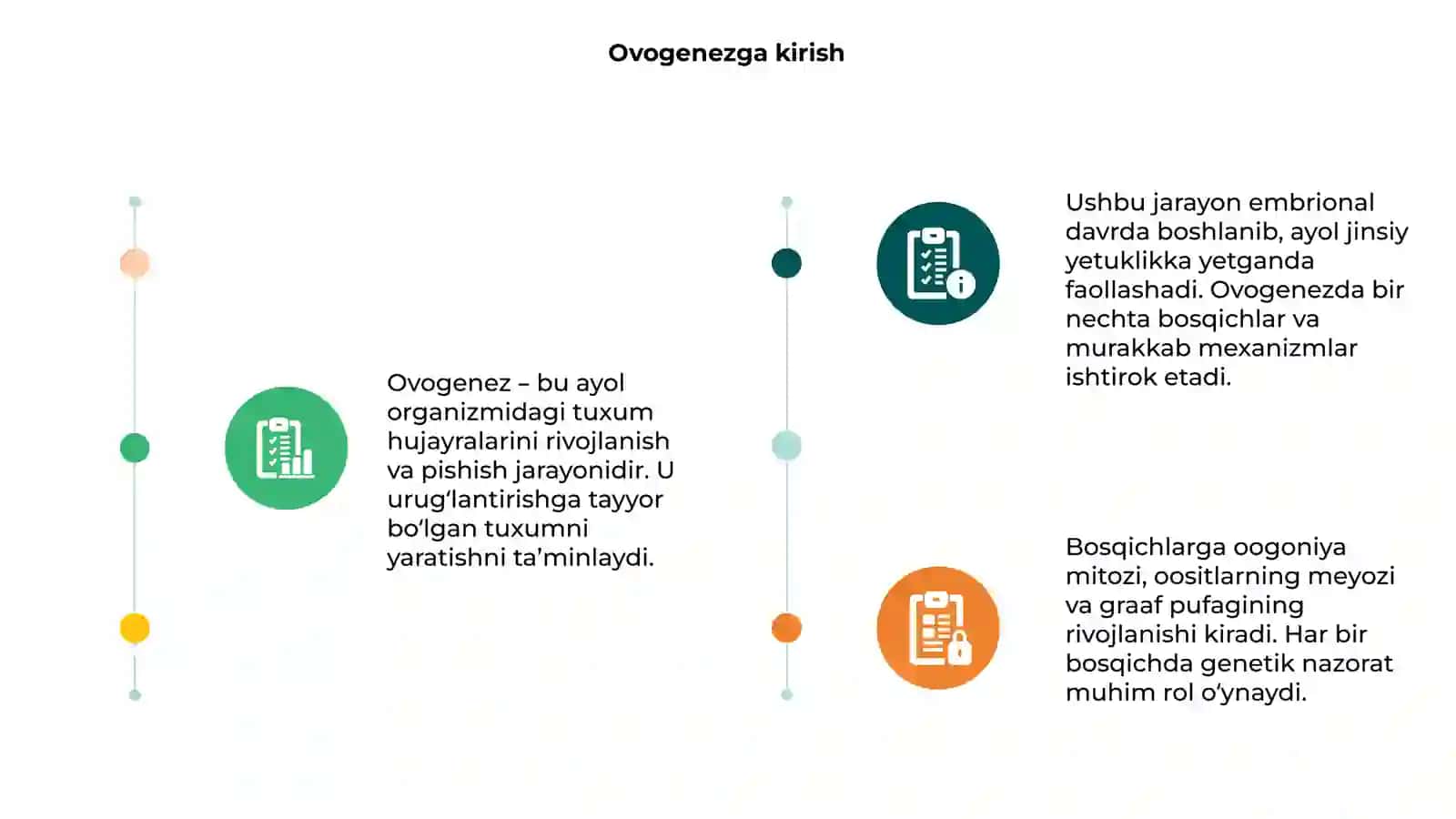Ovogenez bosqichlari sxemasi va mexanizmlari 3