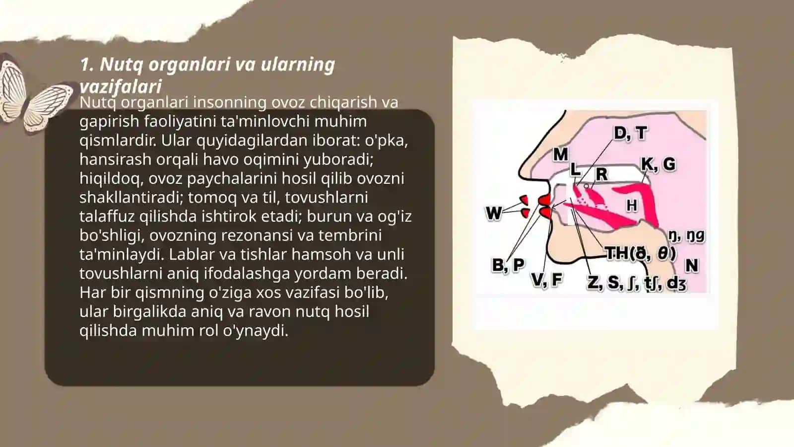 Nutqning fonetik bo'linishi 3
