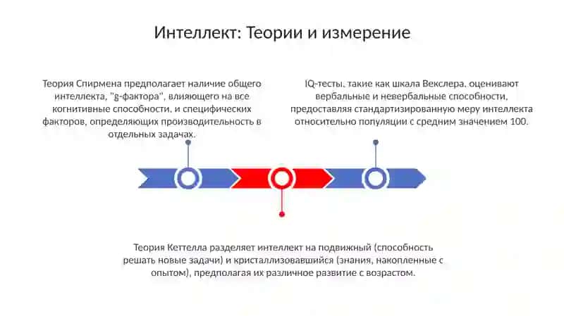 Интеллект: Теории и измерение 3