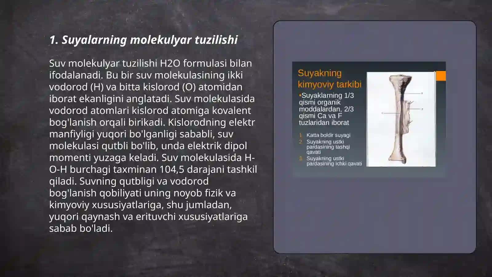 Suyalarning tuzilishi 3
