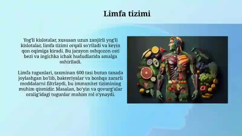 Limfa tizimi 3