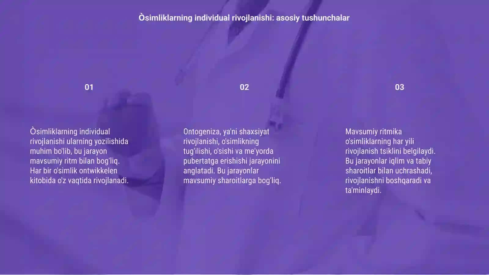 Òsimliklarning individual rivojlanishi ontogeniz va mavsumiy ritmika 3