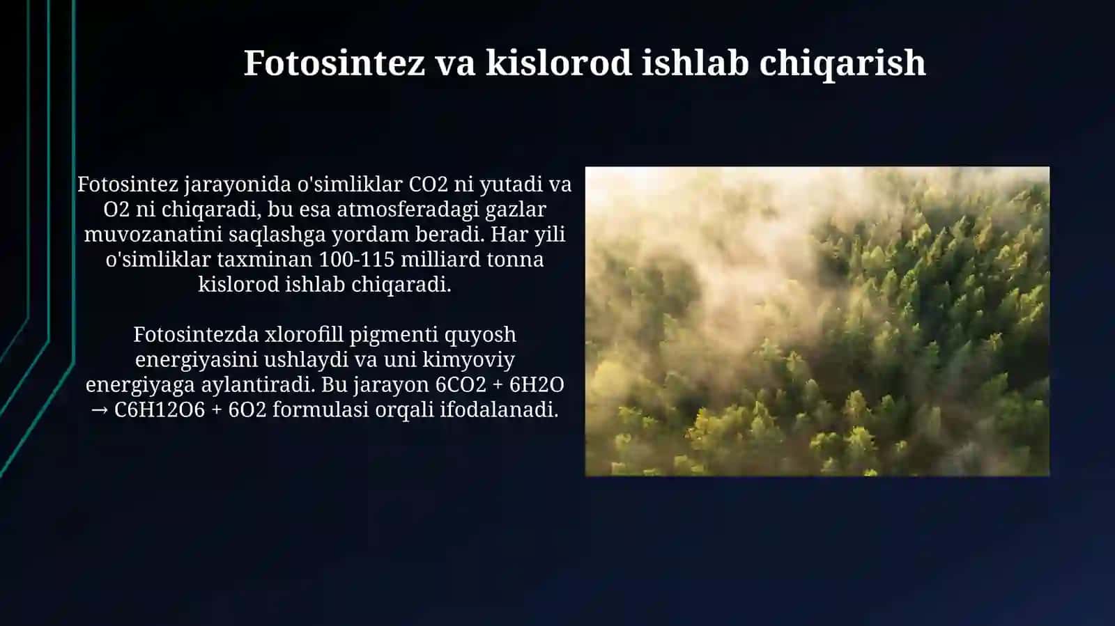 O'simliklarning inson hayotida va biosferadagi ahamiyati 3