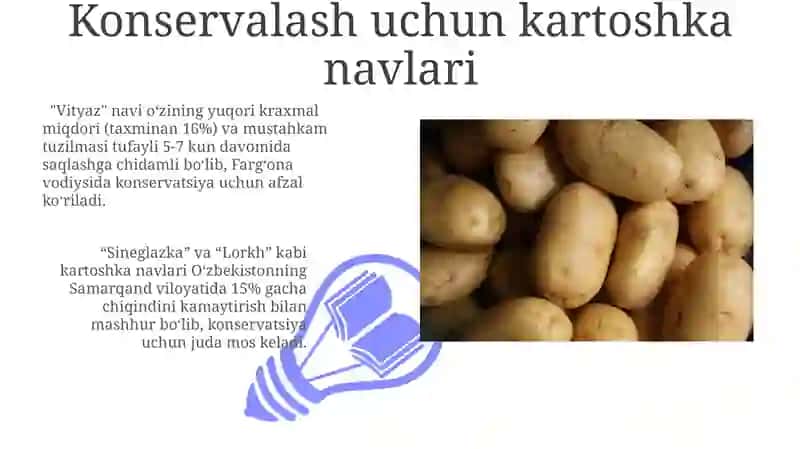 Kartoshka navlari 3