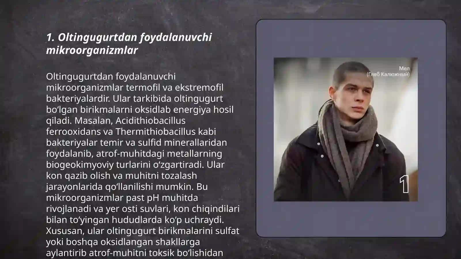 Tabiatda oltingugurtning aylanishida mikroorganizmlarning roli 3
