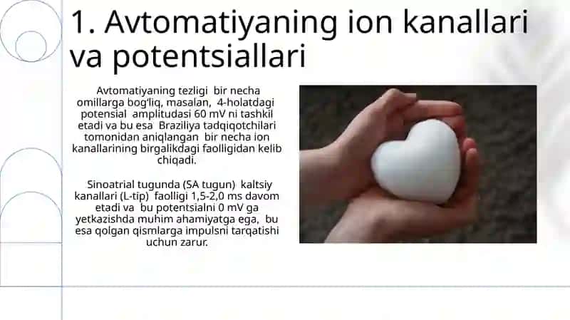 Yurak avtomatiyasi 3