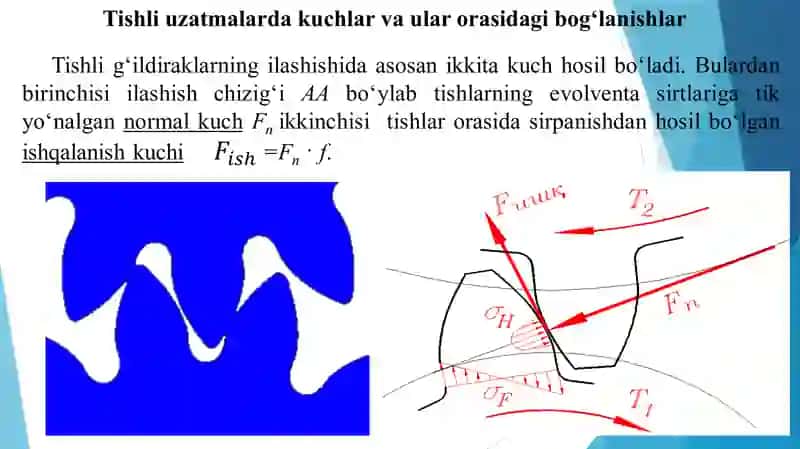 TISHLI UZATMALARDA KUCHLAR VA KUCHLANISHLAR. TISHLARNI YEMIRILISH TURLARI 3