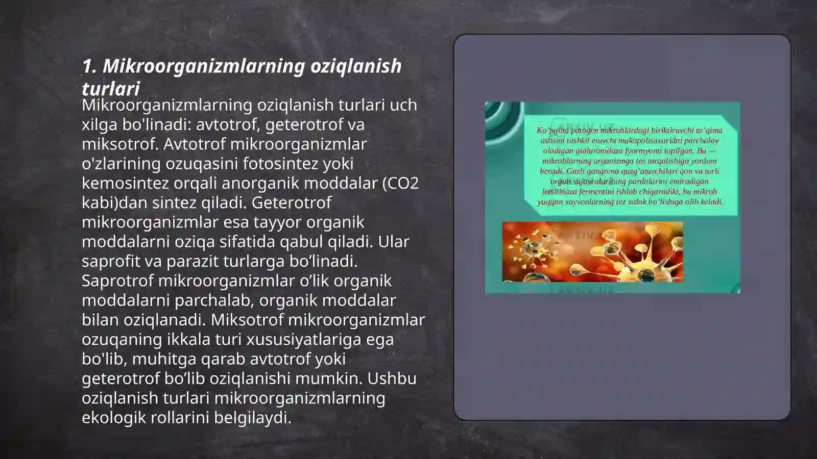 Mikroorganizmlarni oziqlanishi 3
