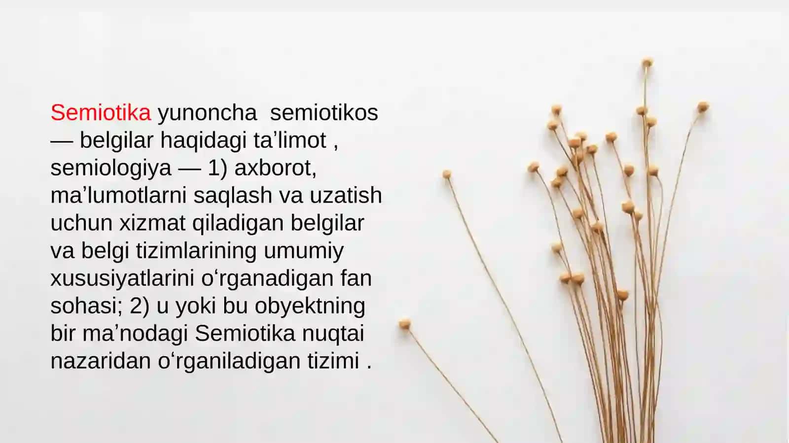 Tilshunoslik va Semiotika 3