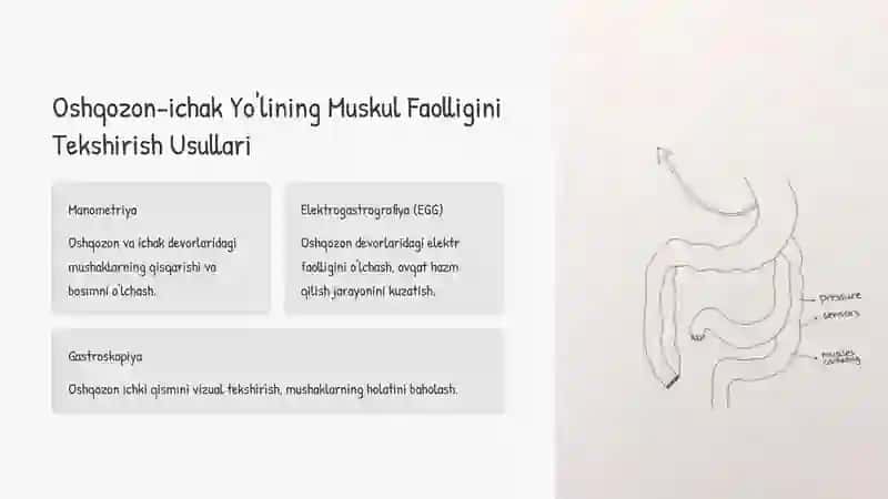 Oshqozon-ichak Yo'lining Harakat Faolligini Tekshirish Usullari 3