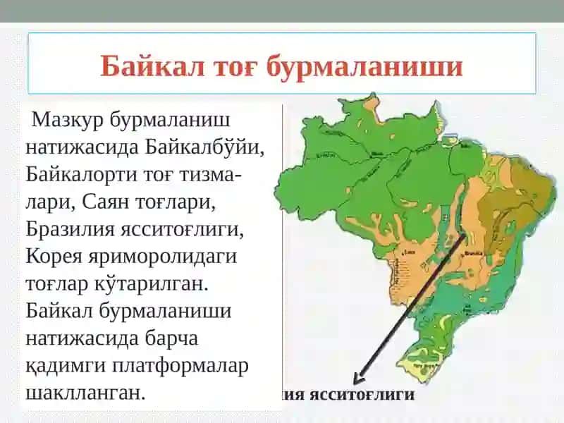 ТОҒ ҲОСИЛ БЎЛИШ БОСҚИЧЛАРИ 3