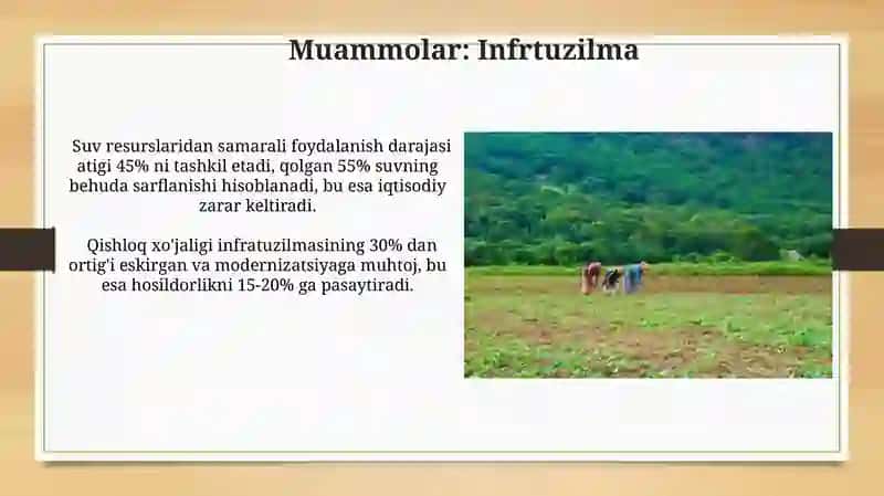 Muammolar: Infrtuzilma 3