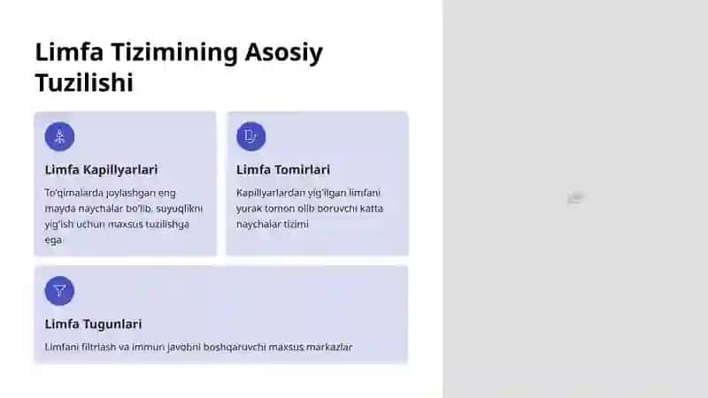 Limfa Tizimi Anatomiyasi: Tanamizning Himoya Tarmog'i 3