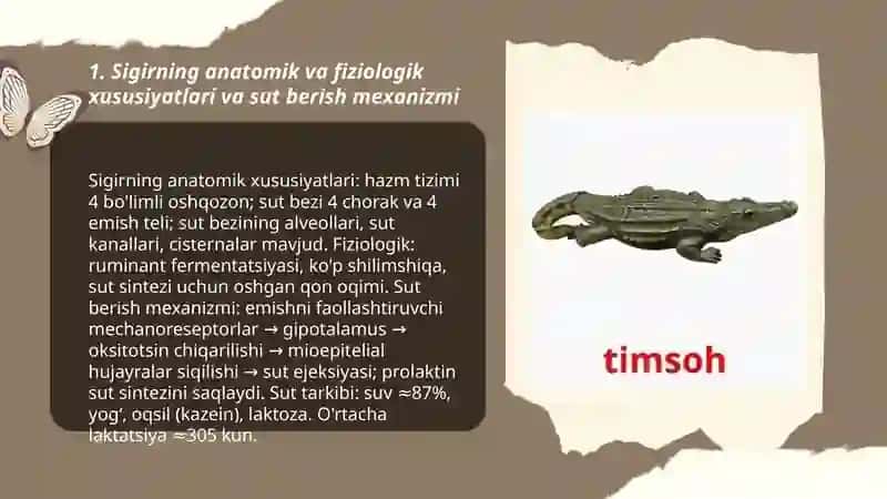 Osmondagi uchuvchilardan (boyoʼgʻli) 3