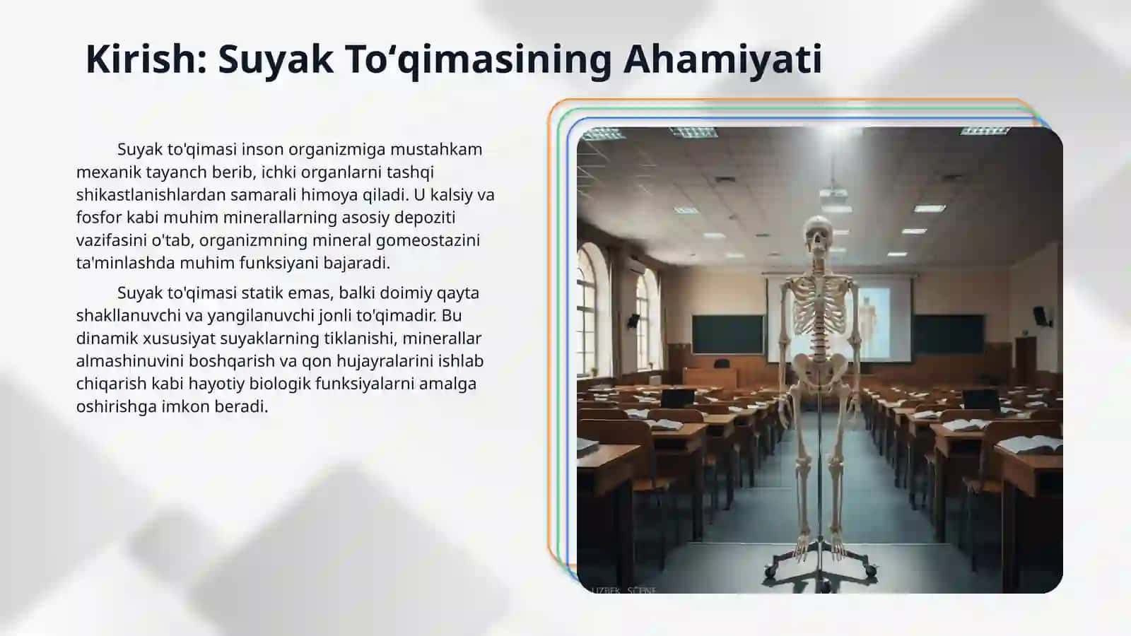 Suyak toʻqimasi 3