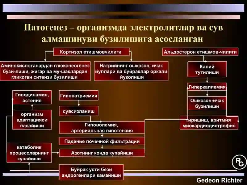 Гипокортицизм-ташхислаш, касаллик белгилари, даволаш 3