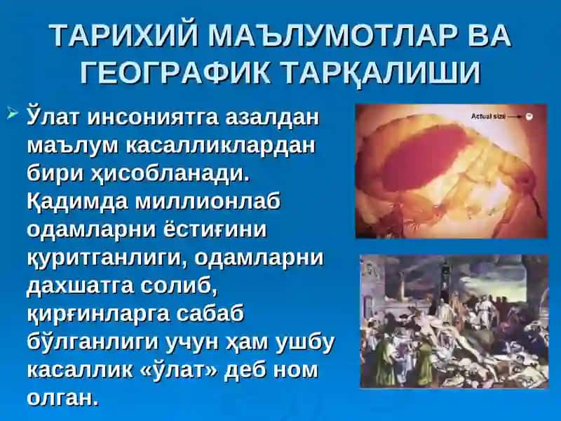 ЎЛАТпрезентация врачлар учун 3