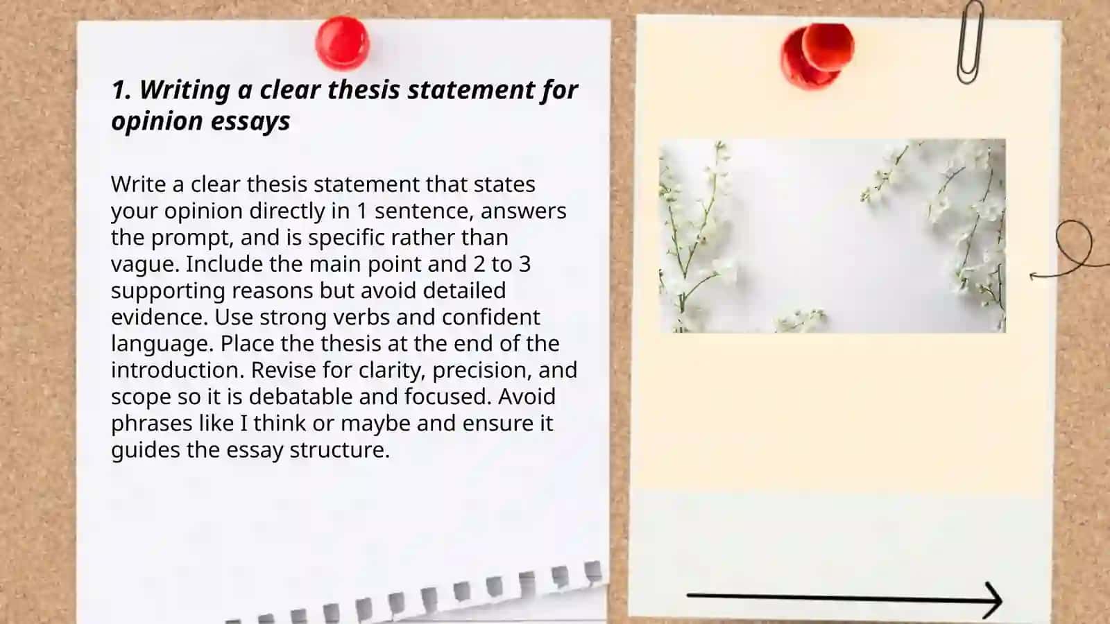 Opinion essayVocabulary and structure 3