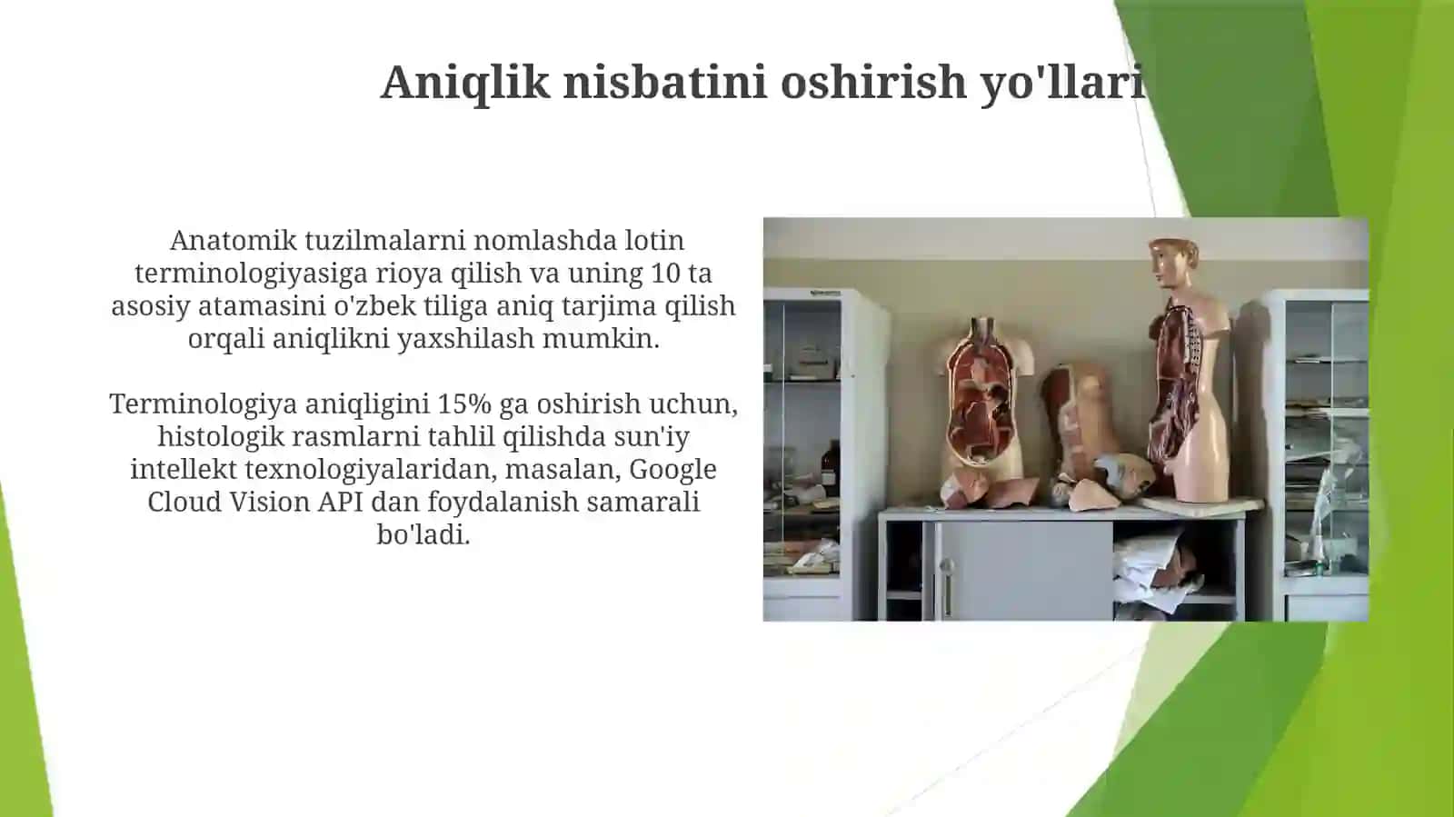 Anatomik va gistologik sinonimlar 3